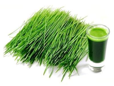 BarlyGrass