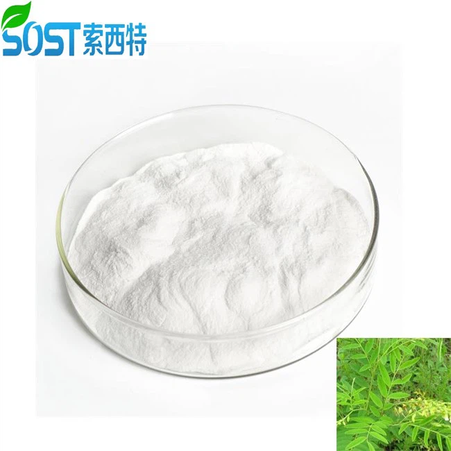 Sophoraflavescensextractpowder