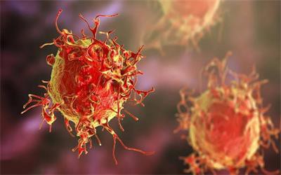 anti-inflammatory anti-inflammatory