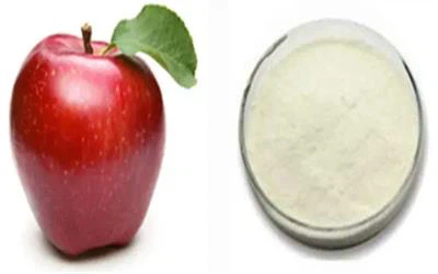 Apple Polyphenols powder