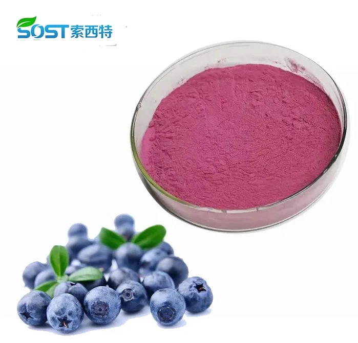 blueberry powder1