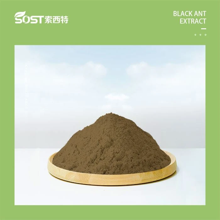 Blank Ants Extract