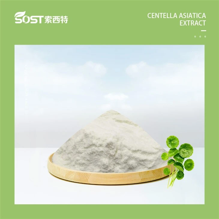 Centella Asiatica Herba Extract