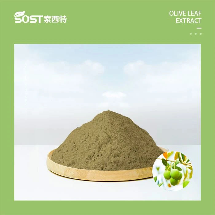Hydroxytyrosol Olive Leaf Extract
