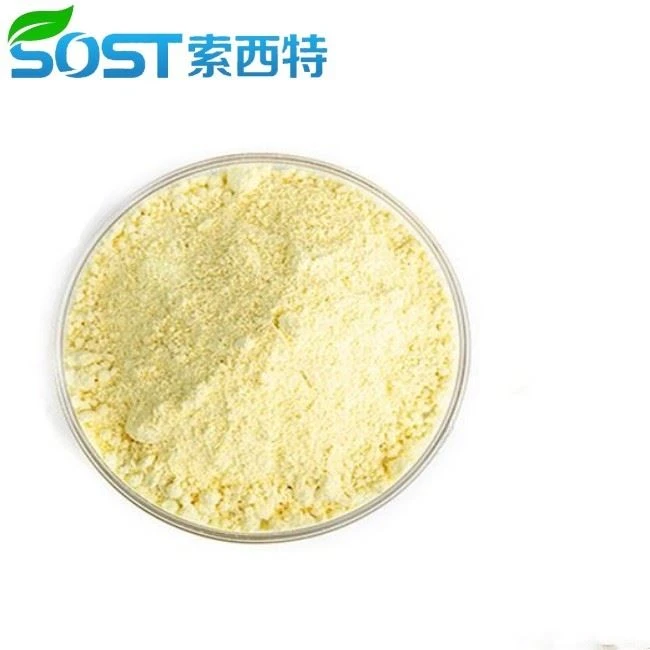 Bulk Price Vitamin K1 Powder