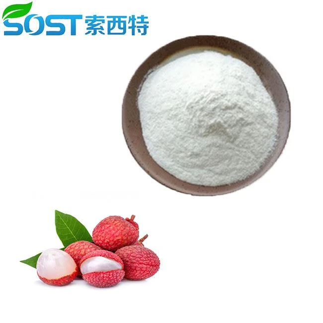Litchi Juice Powder
