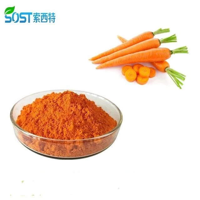 Dried Carrot Powder
