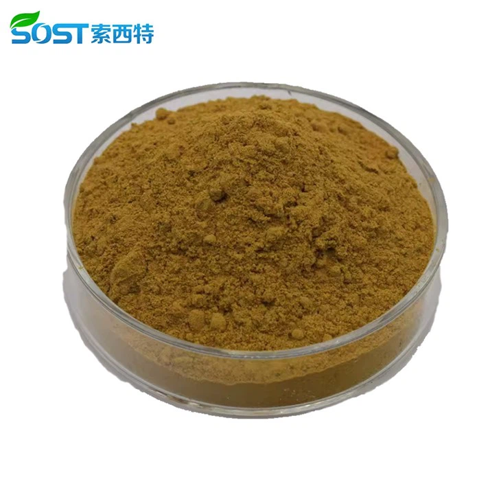 Wild Lettuce Extract