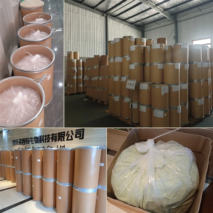 Psyllium Husk Powder Bulk best