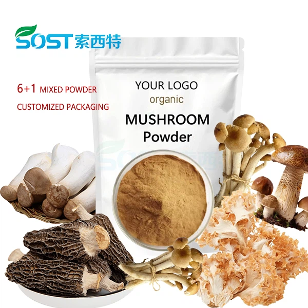 Shiitake Mushroom Extract suppliers